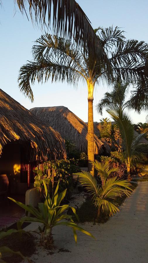 Village Temanuata Bora Bora Eksteriør bilde