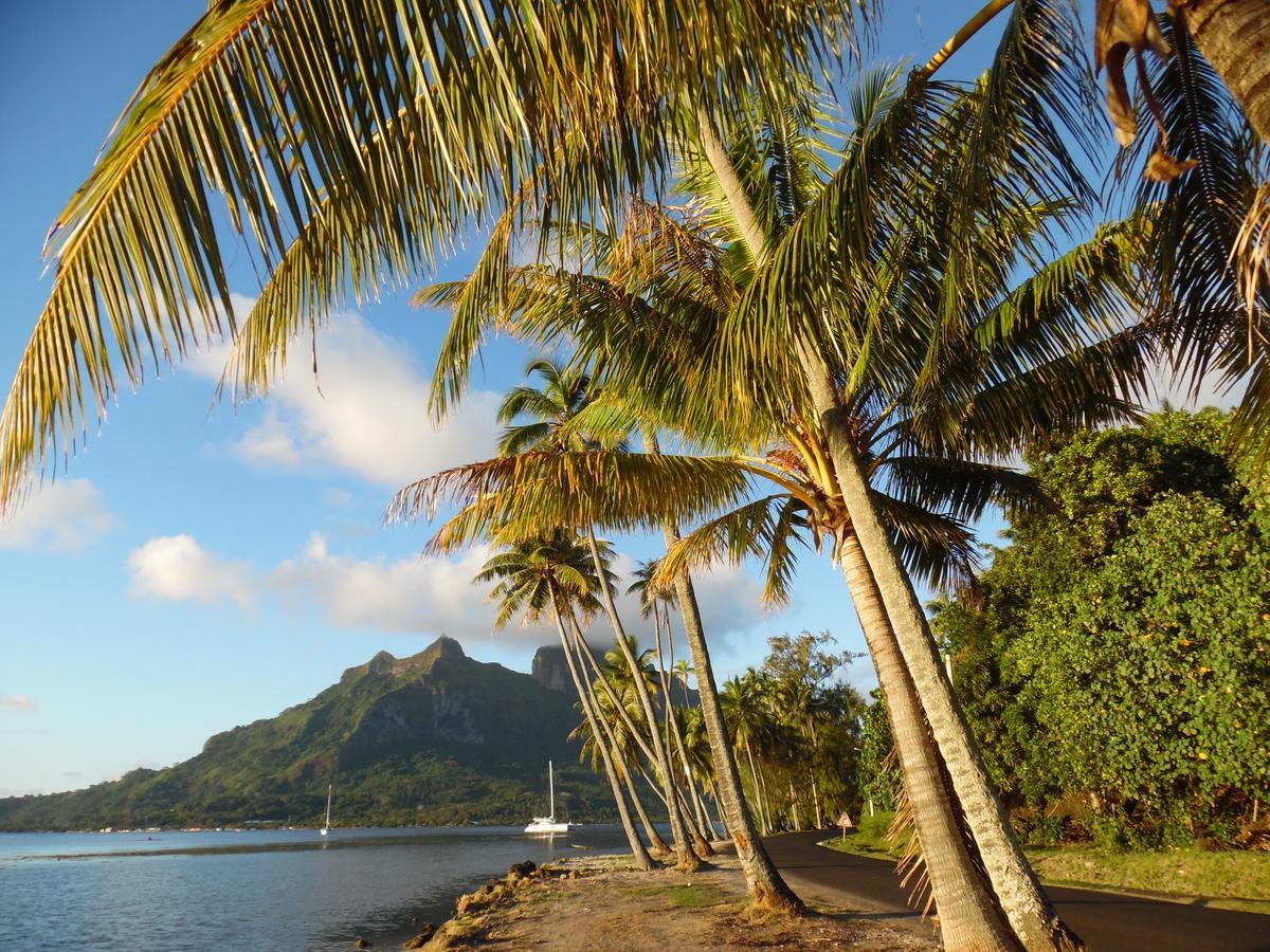 Village Temanuata Bora Bora Eksteriør bilde